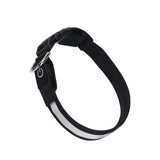 USB LED Dog Collar – Rechargeable Luminous Nylon Collar