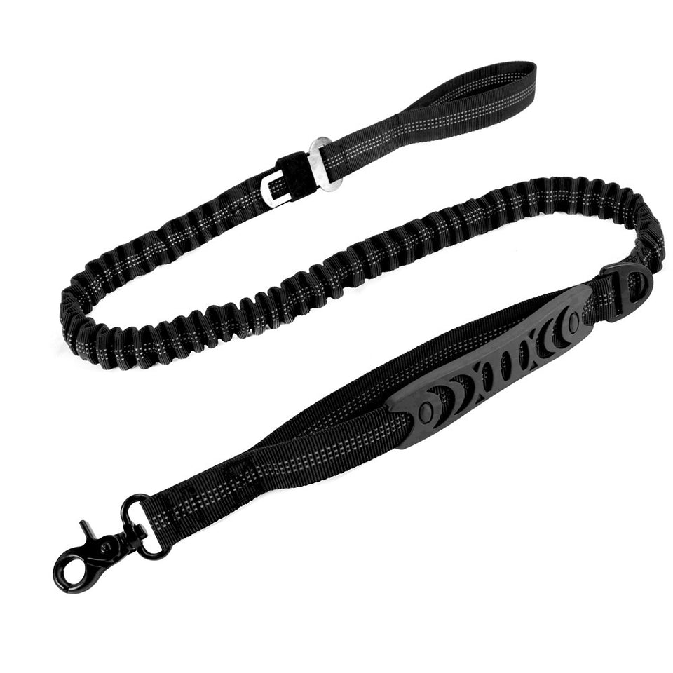 Strong Bungee Dog Leash for Large and Medium Dogs