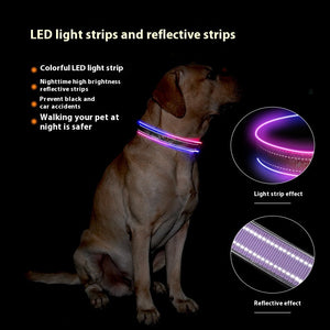 Bright Buddy Reflective LED Collar for Night Walks
