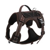 Reflective Dog Harness with Strong Leash for Safe Walks